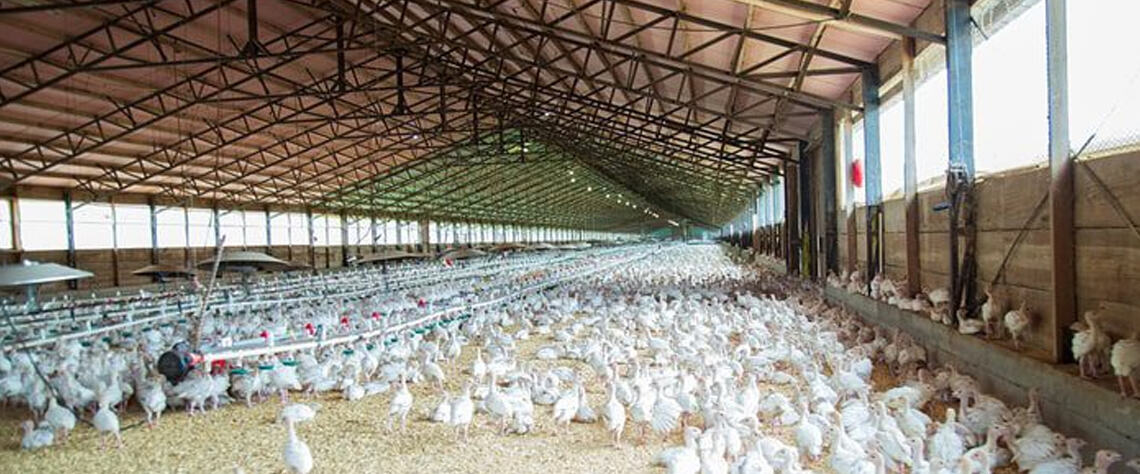 خرید تجهیزات و راهنمای سفارش