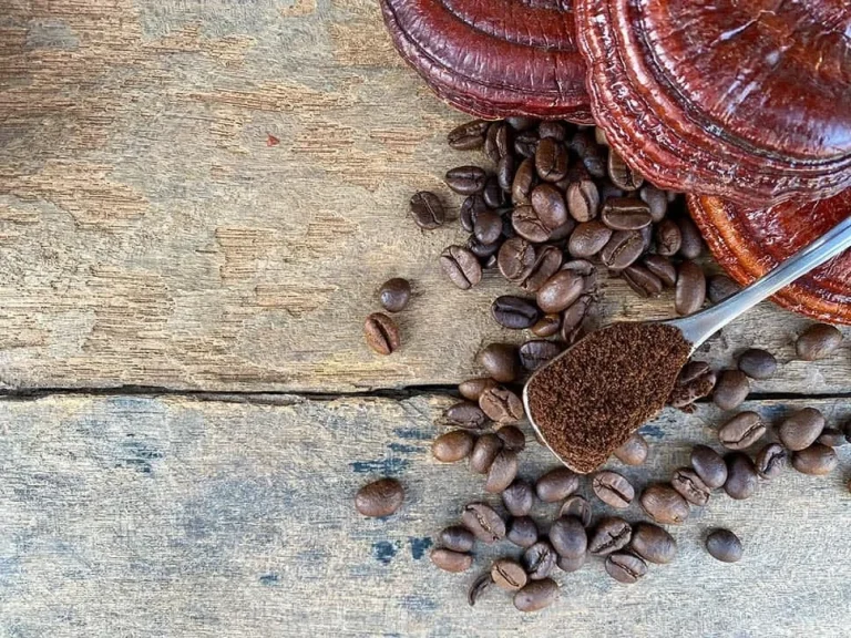 آیا گانودرما باعث کاهش اشتها می‌شود؟