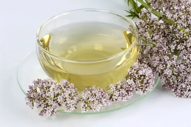 بهترین گیاهان دارویی برای کمک به کاهش استرس و اضطراب چیستند؟