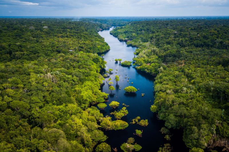 هشدار جدید دانشمندان درباره تغییرات اقلیمی در جنگل آمازون